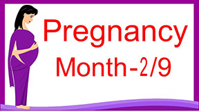 2. Know more about your baby and how you feel this month